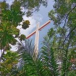 cross in tree branches