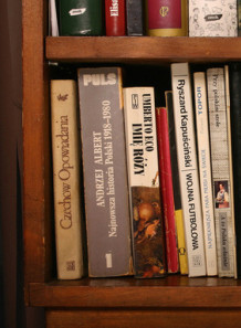 classic books on the shelf