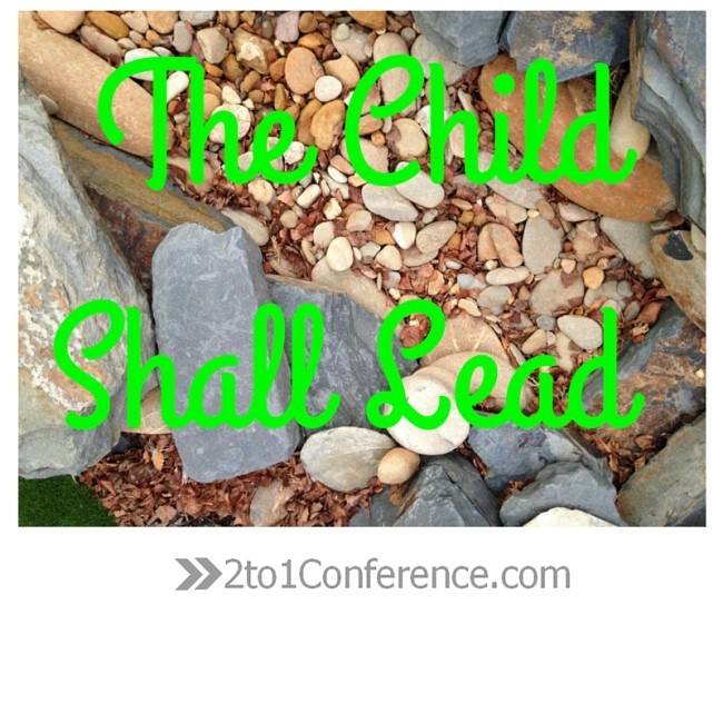 Rocks - The child Shall Lead