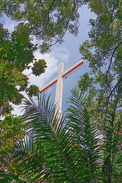 cross in tree branches