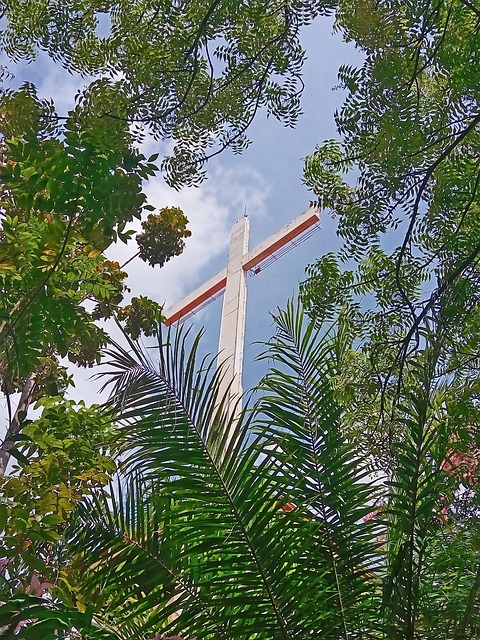 cross in tree branches
